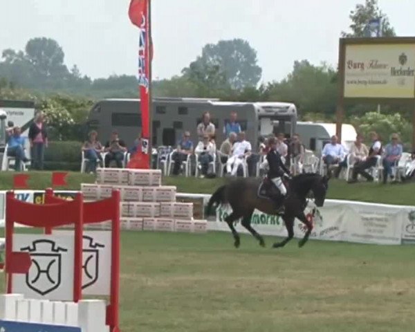 Fehmarn Pferdefestival 2015