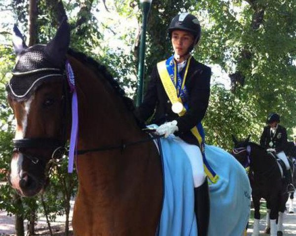horse Pokerface JF (Austrian Warmblood, 2009, from Moosbachhof's Peron)