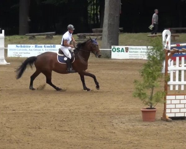 CSN Calvörde 2015