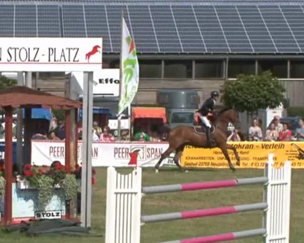 Fehmarn Pferdefestival 2015