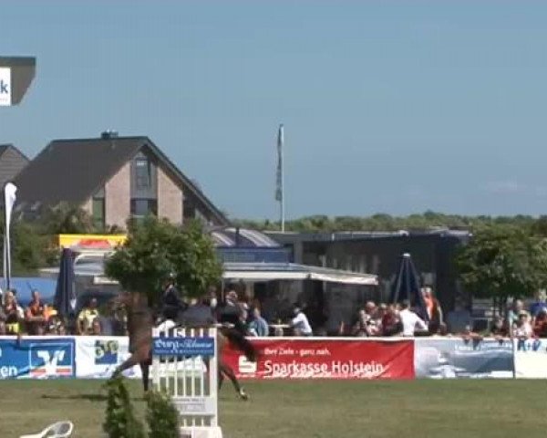 Fehmarn Pferdefestival 2015