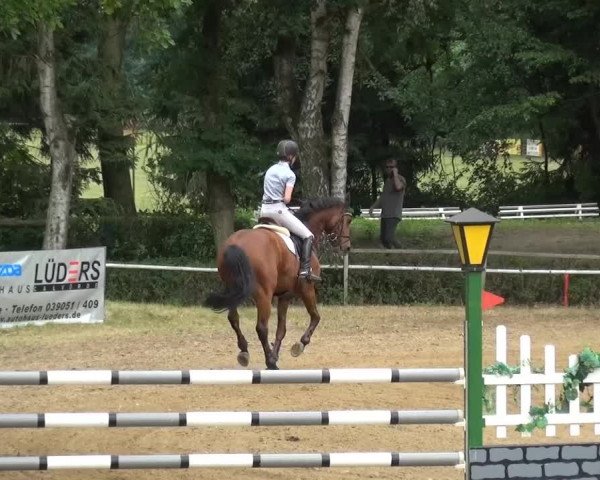 CSN Calvörde 2015