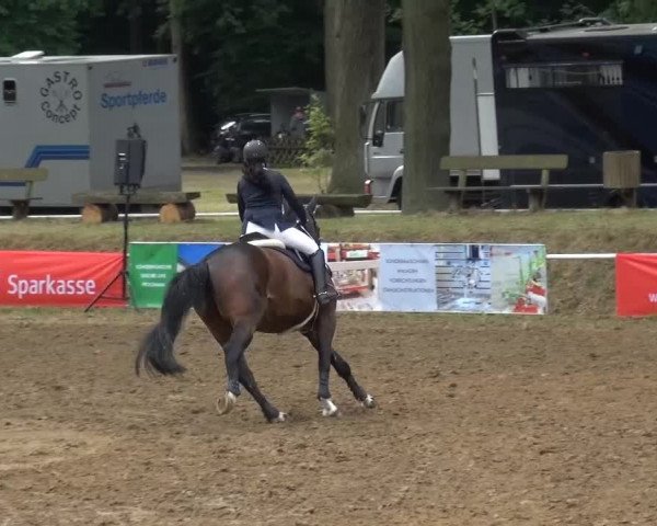 CSN Calvörde 2015