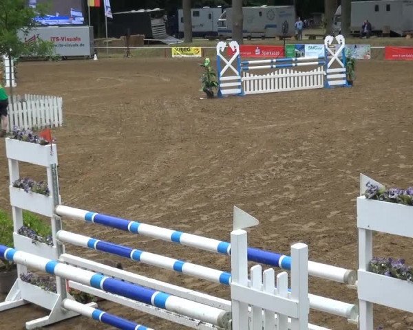 CSN Calvörde 2015
