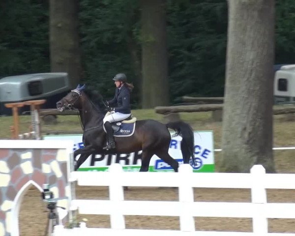 CSN Calvörde 2015