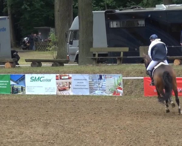 CSN Calvörde 2015