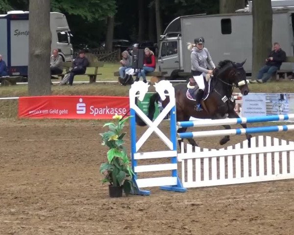CSN Calvörde 2015