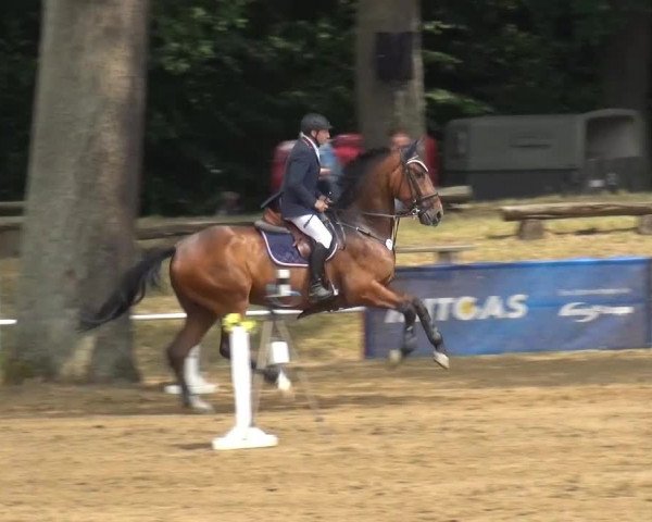 CSN Calvörde 2015