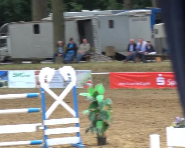 CSN Calvörde 2015