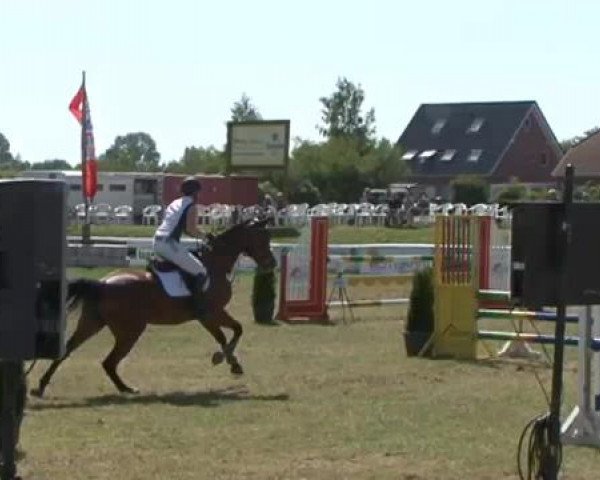 Fehmarn Pferdefestival 2015
