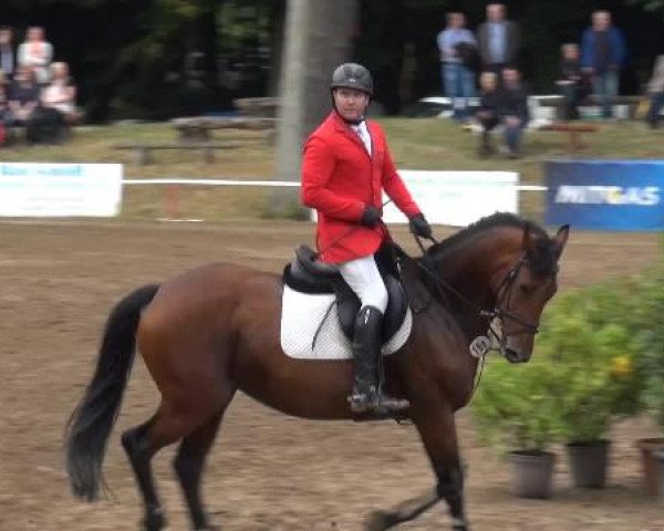 CSN Calvörde 2015