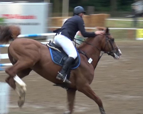 CSN Calvörde 2015