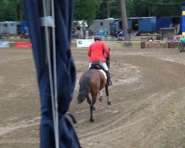 CSN Calvörde 2015