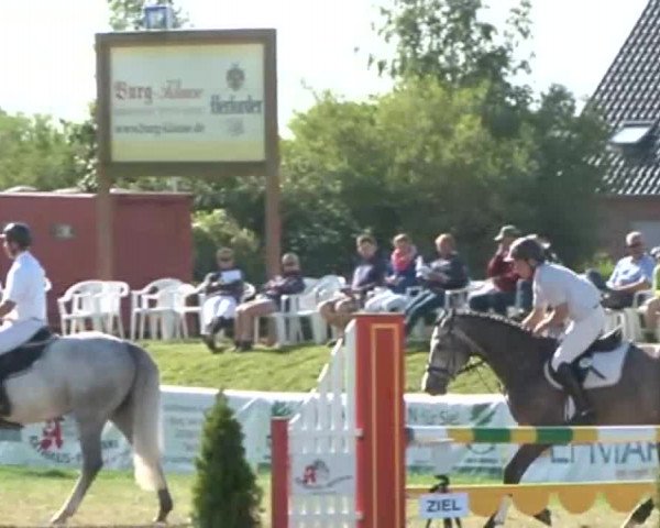 Fehmarn Pferdefestival 2015