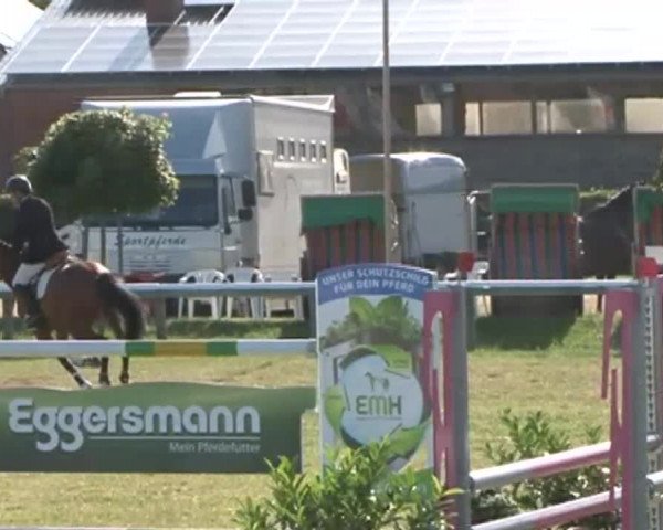 Fehmarn Pferdefestival 2015