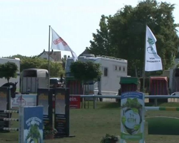 Fehmarn Pferdefestival 2015