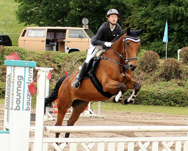 jumper Anne Pepper (Irish Sport Horse, 2005, from N-Aldato)