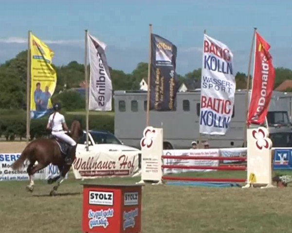 Fehmarn Pferdefestival 2015