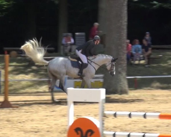 CSN Calvörde 2015
