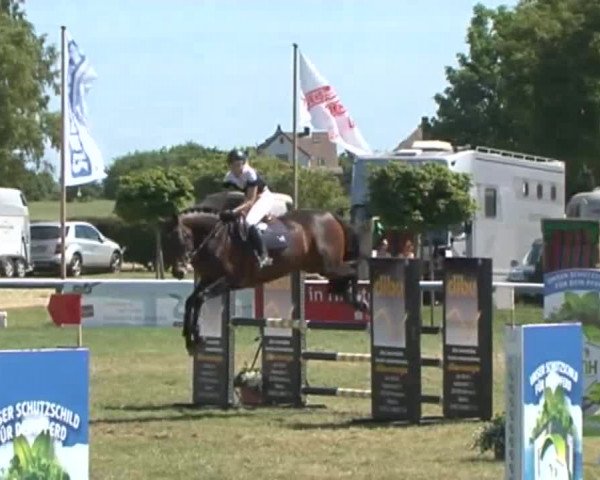 Fehmarn Pferdefestival 2015