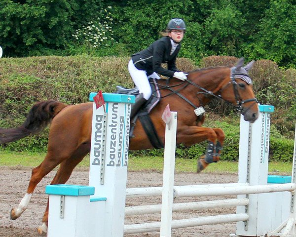 jumper Ashely Rs (Zweibrücken, 2002, from Algra)
