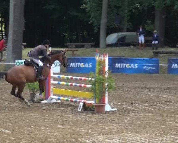 CSN Calvörde 2015