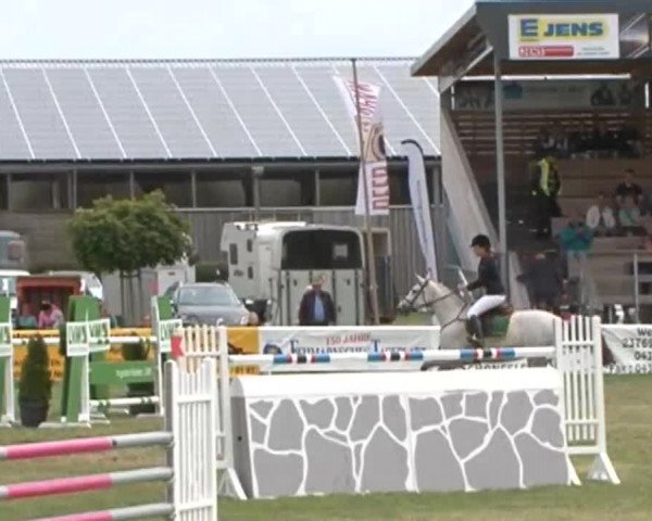 Fehmarn Pferdefestival 2015