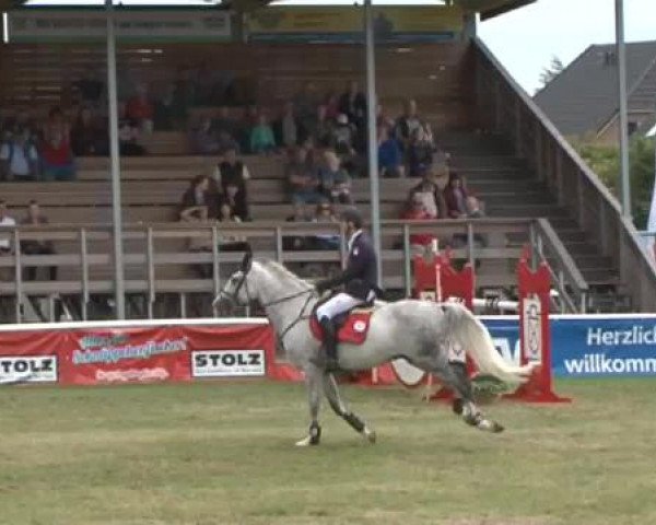 Fehmarn Pferdefestival 2015