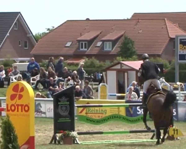 Fehmarn Pferdefestival 2015