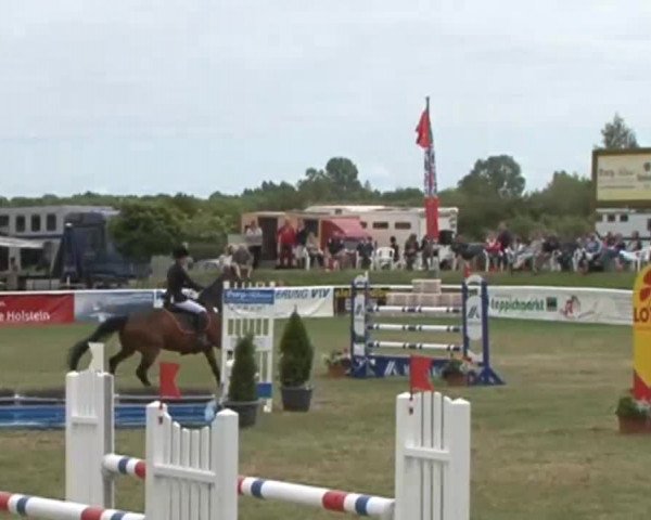Fehmarn Pferdefestival 2015