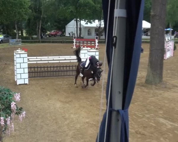 CSN Calvörde 2015