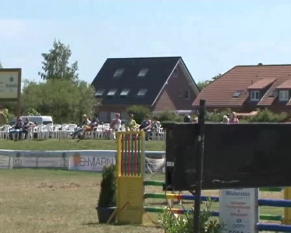 Fehmarn Pferdefestival 2015
