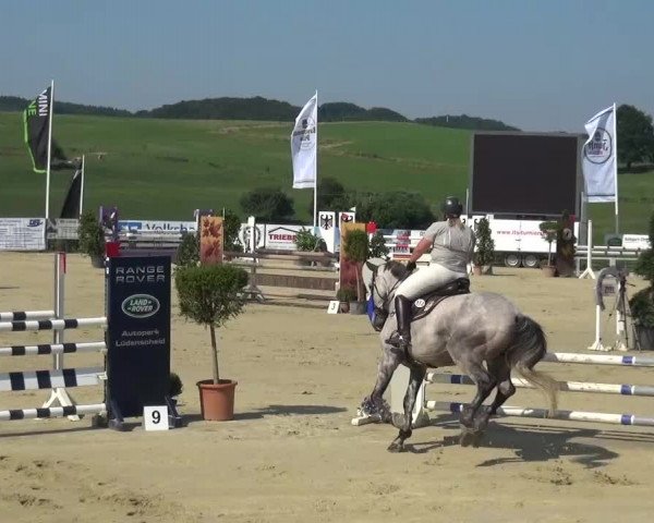 Reitturnier Lindlar-Süttenbach 2015