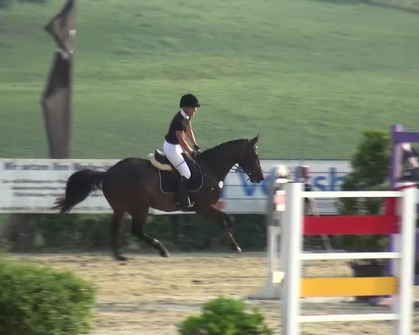 Reitturnier Lindlar-Süttenbach 2015
