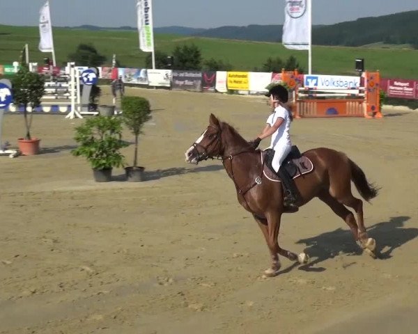 Reitturnier Lindlar-Süttenbach 2015