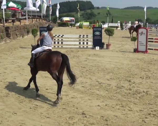 Reitturnier Lindlar-Süttenbach 2015