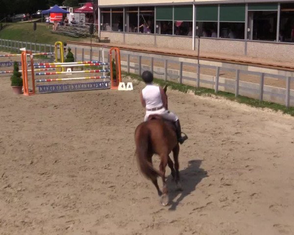 Reitturnier Kalenborn Hegehof 2015