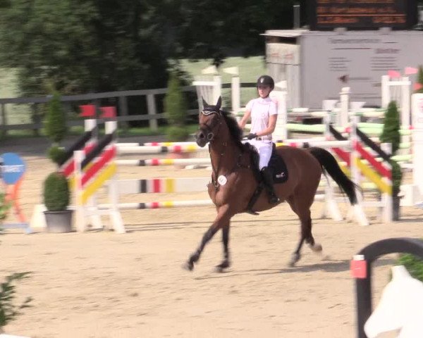 Reitturnier Kalenborn Hegehof 2015