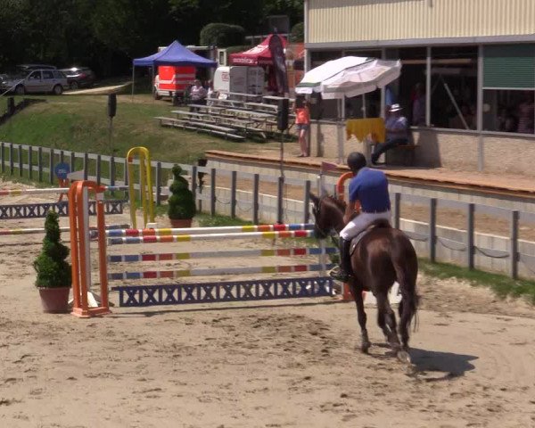 Reitturnier Kalenborn Hegehof 2015
