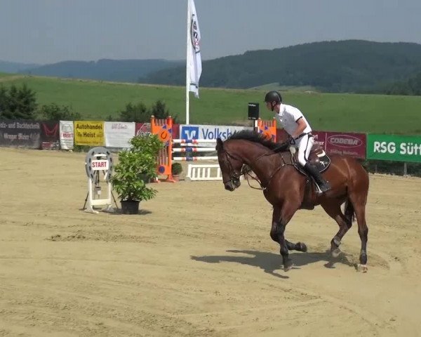 Reitturnier Lindlar-Süttenbach 2015
