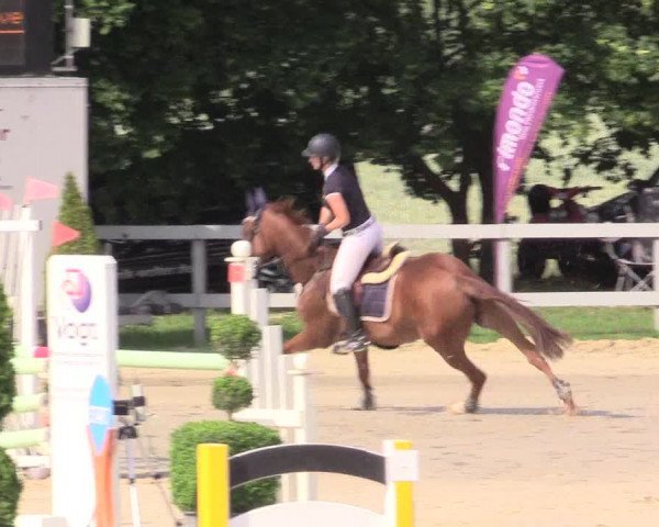 Reitturnier Kalenborn Hegehof 2015