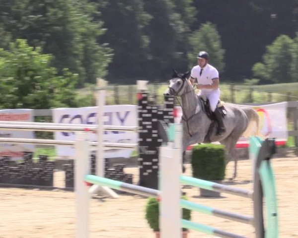 Reitturnier Kalenborn Hegehof 2015