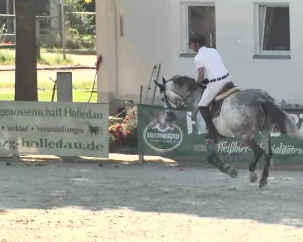 Reitertage Hagau 2015