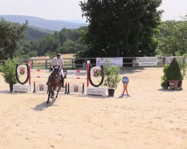 Reitturnier Kalenborn Hegehof 2015