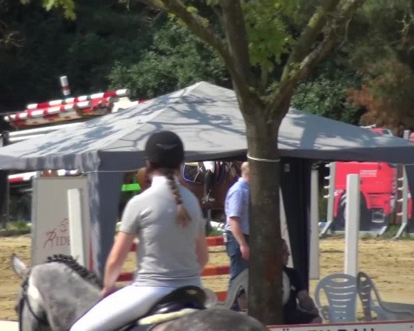 Reitturnier Viersen-Dülken 2015
