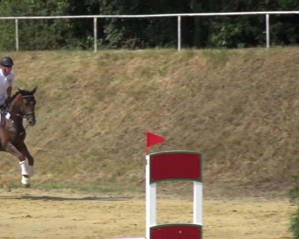 Reitturnier Viersen-Dülken 2015