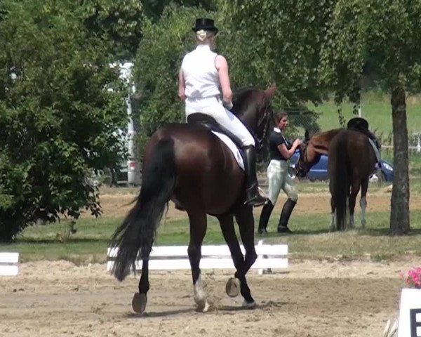 Reitturnier Viersen-Dülken 2015