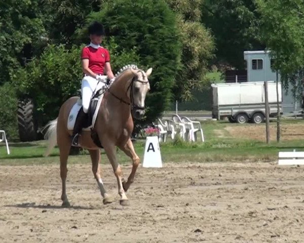 Reitturnier Viersen-Dülken 2015