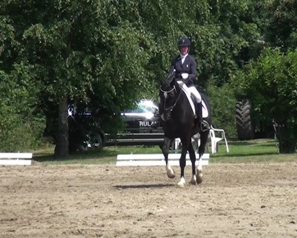 Reitturnier Viersen-Dülken 2015