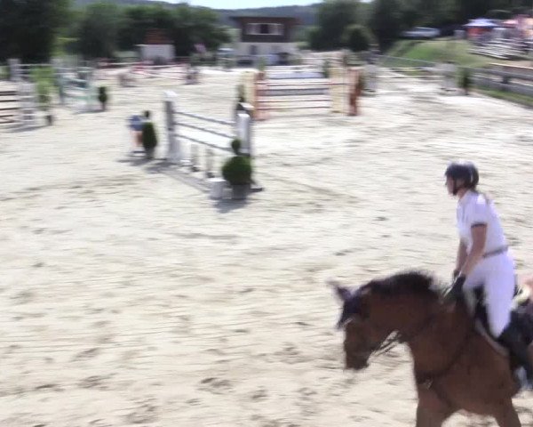 Reitturnier Kalenborn Hegehof 2015